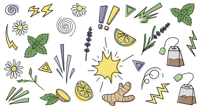 Hand-drawn doodle set of herbal tea ingredients and abstract symbols featuring lemon, mint, chamomile, lavender, ginger, and teabags in a cartoon style with simple colors