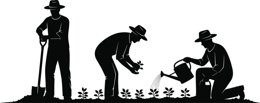 Gardening process, man planting seedlings, digging with a shovel, and watering plants, silhouette vector illustration for agriculture, horticulture, and growth content.