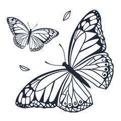 Two butterflies with decorative wings © japan