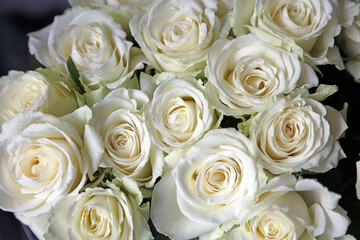 Closeup of a bouquet of white Roses, Walsall England
