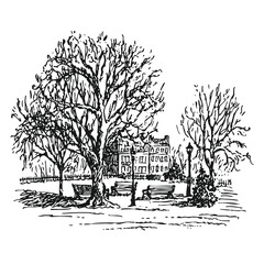 Black and White Ink Drawing of Benches and Trees in a Winter Park. Hand-drawn Old Town Street View Sketch.
