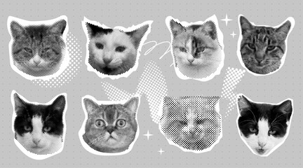 Halftone effect funny cat heads. Trendy retro y2k pet, funky emoticon animal, pop aesthetic. Meme head Punk collage made from elements. Cat, animal, pet from different angles, different poses,  © Alyona