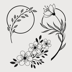 Black Outline Floral Branches and Circles on Light Background leaf flower