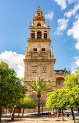 Naklejka premium Bell tower and courtyard of Cordoba Mezquita (Great Mosque of Cordoba) in Andalusia, Spain