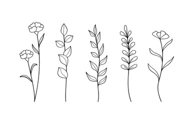 Minimalist Botanical Line Art Collection - Hand Drawn Flowers and Branches Vector.