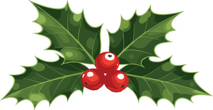 Festive Holly Sprig A Classic Holiday Decoration with Berries and Green Leaves for Christmas Cheer