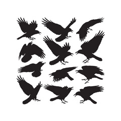 Raven Flying Silhouette Vector Set