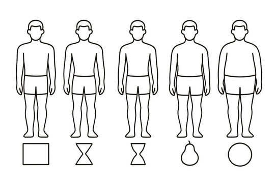 Five male body types outline figures with geometric shapes for health and fitness concepts