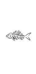 fish bone illustration
