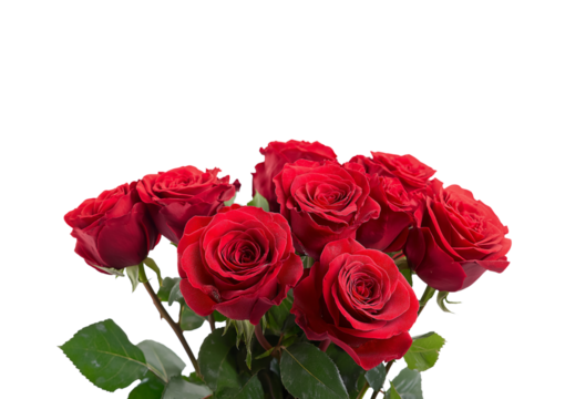 A lush bouquet of deep red roses with vibrant green leaves isolated on a transparent background flowers