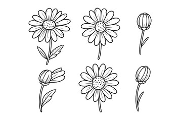 Black and white outline set of chamomile daisy flowers and unopened buds