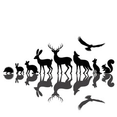 Forest animal silhouettes with reflections isolated on transparent background