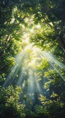 Fototapeta premium Sunbeams filtering through lush green forest canopy, illuminating vibrant foliage and creating a magical, ethereal atmosphere