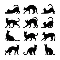 Black cat silhouettes in various poses, isolated on transparent background