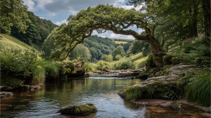 Fototapeta premium Serene River Landscape with Arching Tree Over Water in Lush Green Forest Setting Surrounded by Hills and Rolling Meadows Under Blue Sky