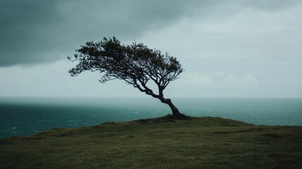 Lonely windswept tree on coastal cliff against stormy sky over turbulent ocean waves, captured in moody and dramatic landscape photography