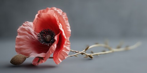 A remembrance poppy symbolizing honor and sacrifice, traditionally used for Memorial Day and related commemorative events.