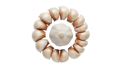 Garlic head and cloves forming a circle isolated on transparent background