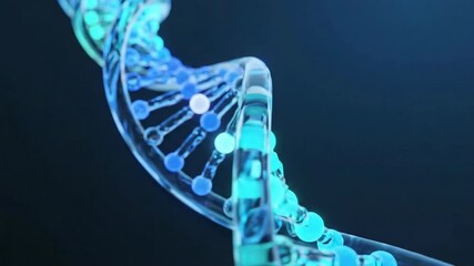 Futuristic digital fingerprint scan made of glowing blue code transforms into DNA helix. Concept of biometric security, identity and genetic data protection. - Powered by Adobe