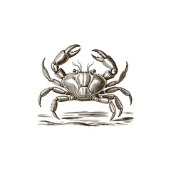 Vintage engraving woodcut crab vector illustration art design