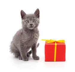 Cute tabby kitten sitting with a red gift box on white backgroun.