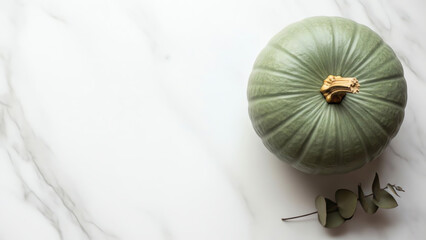 Green pumpkin on marble surface with eucalyptus leaves nearby
