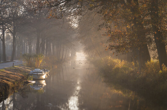 Sun rays shining through the trees on a canal during an autumn morning.