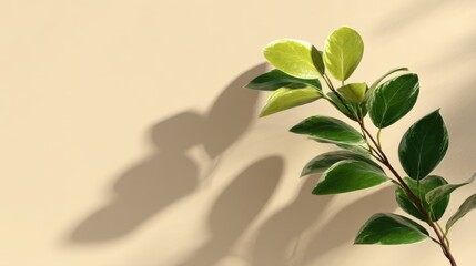 Green Foliage with Shadows on a Neutral Background Highlighting the Beauty of Nature and Indoor Plant Decor for Aesthetic Spaces