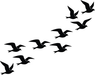 Flock of flying black seagull silhouettes isolated on white background, vector illustration of bird migration concept.