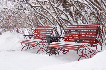 Two red benches in a park in winter