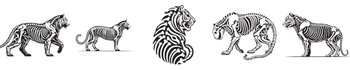 vector set of tiger bone skeleton silhouettes