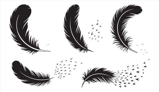 Delicate feather vector illustrations showing graceful movement and dissolving effects