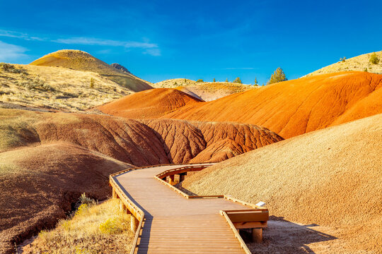 Painted Cove Trail at John Day Fossil Beds National Monument at Sunrise