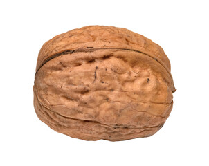 Walnut or Juglans regia with closed or unopened shell isolated on transparent or white background, png graphic design element 