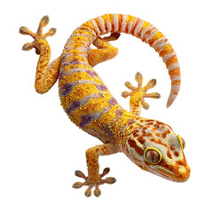 Naklejka premium Brightly colored gecko climbing against a white background showcasing its vibrant patterns and unique features
