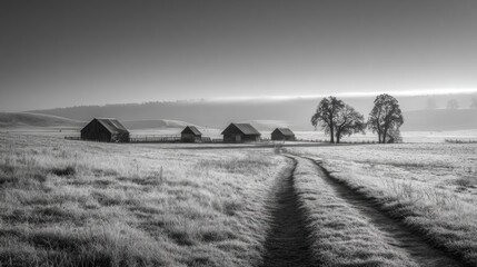 Fototapeta premium Frosty rural farm landscape with barns and trees at sunrise in monochrome. AI generative