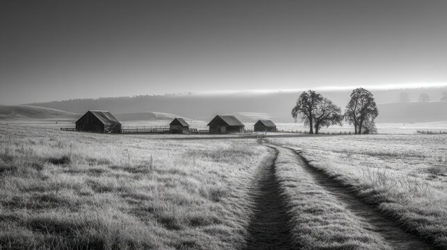 Frosty rural farm landscape with barns and trees at sunrise in monochrome. AI generative - Powered by Adobe