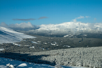 Panoramic Winter Mountain Landscape with Snow-Covered Pine Forests