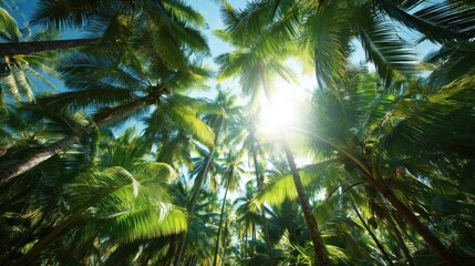Fototapeta premium Lush Tropical Jungle with Sunlight Filtering Through Dense Palm Leaves Creating a Serene and Inviting Atmosphere in Nature