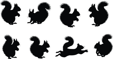 Silhouette of a squirrel in different poses isolated on set of vector silhouettes of a squirrel in different poses squirrel silhouette vector