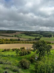 ast Landscape of Green and Brown Rolling Hills and Terraced Farmland Under a Wide, Overcast Sky with a Single Tree and White Garden Chairs in the Foreground. Piedmont, Italy