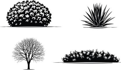 A captivating illustration showcasing a diverse array of meticulously detailed plants, isolated on, each rendered with striking precision and artistry