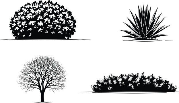 A captivating illustration showcasing a diverse array of meticulously detailed plants, isolated on, each rendered with striking precision and artistry