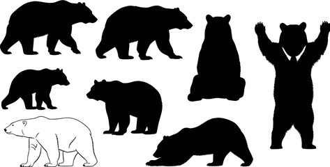 Set of diverse bear silhouettes, including standing, walking, sitting, and polar bear outlines, for wildlife, nature, and animal logo design elements.