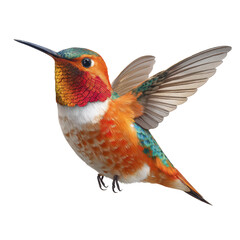 Naklejka premium Colorful hummingbird in mid-flight showcasing vibrant feathers and intricate wing patterns in a natural setting during daylight hours
