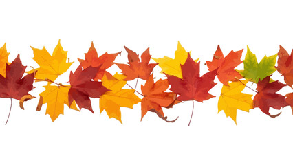 Colorful Autumn Maple Leaf Border: Vibrant Fall Foliage Row on Transparent Backdrop for Seasonal Designs and Thanksgiving Decorations.