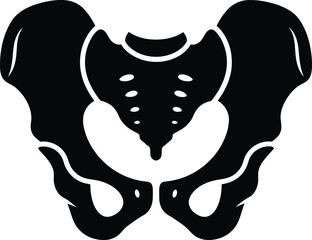 Black and white pelvic bone illustration anatomical representation of the human pelvis for medical educational and scientific purposes in a simple design