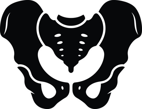 Black and white pelvic bone illustration anatomical representation of the human pelvis for medical educational and scientific purposes in a simple design