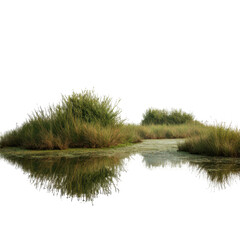 Serene wetlands with lush greenery reflecting in calm water surrounded by nature in a tranquil setting
