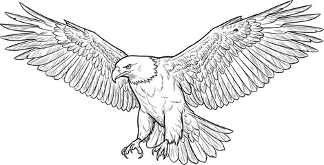 Majestic eagle with fully spread wings in detailed hand-drawn line art style, showcasing powerful feathers and dynamic motion, perfect for wildlife illustration and design projects